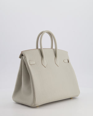 *RARE* Hermès Birkin 25 Retourne Bag in Gris Perle Togo Leather with Gold Hardware