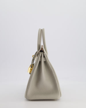 *RARE* Hermès Birkin 25 Retourne Bag in Gris Perle Togo Leather with Gold Hardware