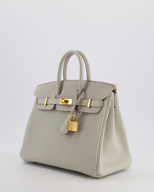 *RARE* Hermès Birkin 25 Retourne Bag in Gris Perle Togo Leather with Gold Hardware