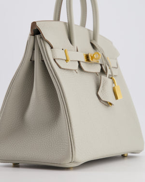 *RARE* Hermès Birkin 25 Retourne Bag in Gris Perle Togo Leather with Gold Hardware