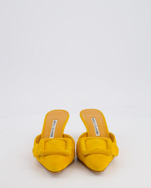 Manolo Blahnik Orange Suede Maysale Mules Size EU 35