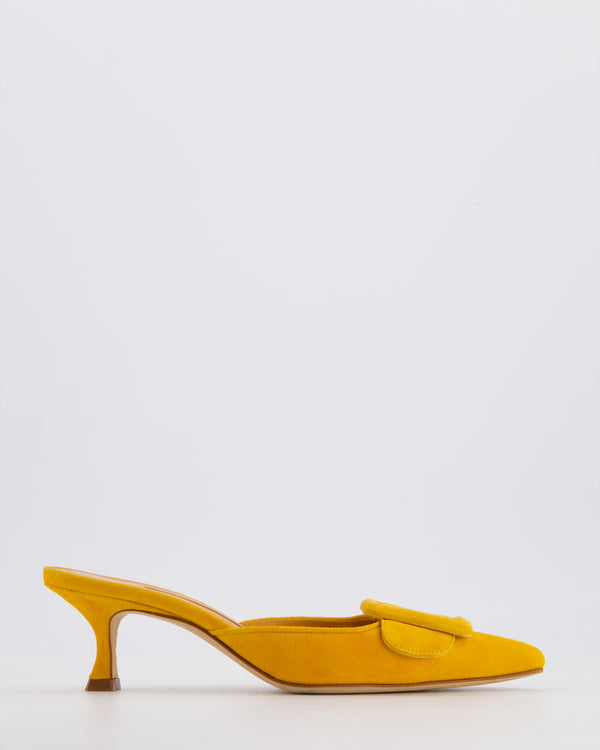 Manolo Blahnik Orange Suede Maysale Mules Size EU 35