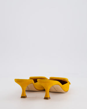 Manolo Blahnik Orange Suede Maysale Mules Size EU 35