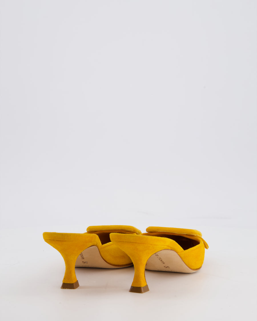 Manolo Blahnik Orange Suede Maysale Mules Size EU 35