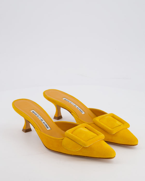 Manolo Blahnik Orange Suede Maysale Mules Size EU 35