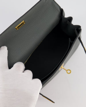 Hermès Kelly 25 Retourne Bag in Vert Amande Togo Leather with Gold Hardware