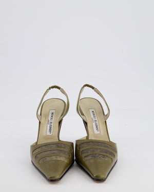 Manolo Blahnik Olive Green Slingback Heels with Crocodile Detail Size EU 35.5