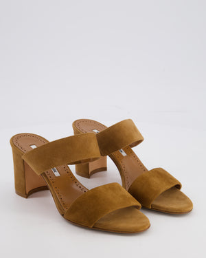 Manolo Blahnik Brown Suede Block BB Heel Size EU 35.5