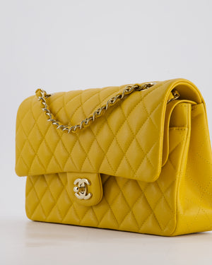 Chanel Medium Classic Double Flap Bag in Mustard Yellow Caviar Leather with Gold Hardware