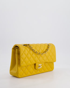 Chanel Medium Classic Double Flap Bag in Mustard Yellow Caviar Leather with Gold Hardware