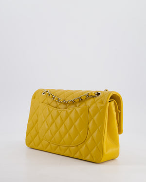 Chanel Medium Classic Double Flap Bag in Mustard Yellow Caviar Leather with Gold Hardware