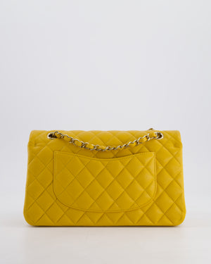 Chanel Medium Classic Double Flap Bag in Mustard Yellow Caviar Leather with Gold Hardware