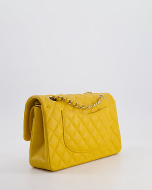 Chanel Medium Classic Double Flap Bag in Mustard Yellow Caviar Leather with Gold Hardware