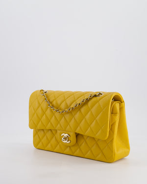 Chanel Medium Classic Double Flap Bag in Mustard Yellow Caviar Leather with Gold Hardware