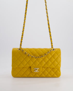 Chanel Medium Classic Double Flap Bag in Mustard Yellow Caviar Leather with Gold Hardware