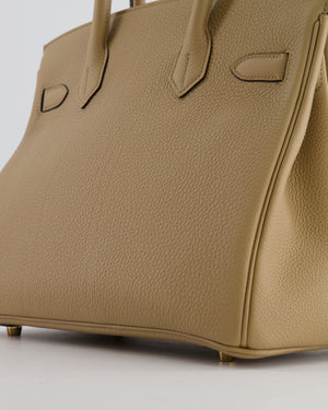 Hermès Birkin 30 Retourne Bag in Poussiere Togo Leather with Permabrass Hardware