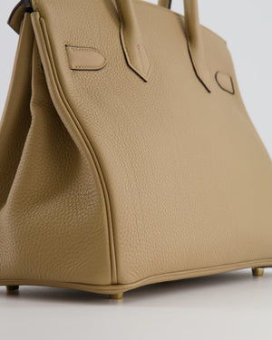 Hermès Birkin 30 Retourne Bag in Poussiere Togo Leather with Permabrass Hardware