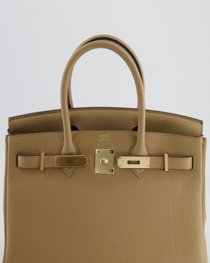 Hermès Birkin 30 Retourne Bag in Poussiere Togo Leather with Permabrass Hardware