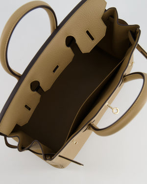 Hermès Birkin 30 Retourne Bag in Poussiere Togo Leather with Permabrass Hardware