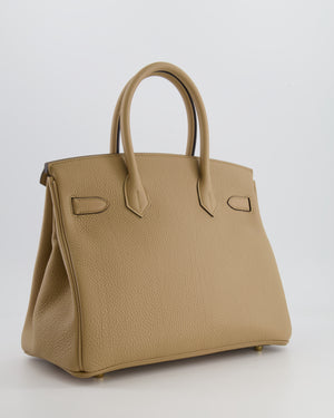 Hermès Birkin 30 Retourne Bag in Poussiere Togo Leather with Permabrass Hardware