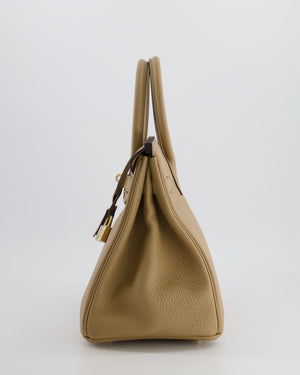 Hermès Birkin 30 Retourne Bag in Poussiere Togo Leather with Permabrass Hardware