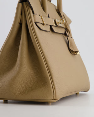 Hermès Birkin 30 Retourne Bag in Poussiere Togo Leather with Permabrass Hardware