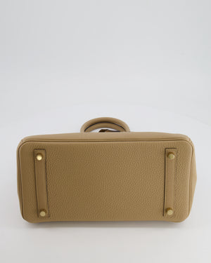 Hermès Birkin 30 Retourne Bag in Poussiere Togo Leather with Permabrass Hardware