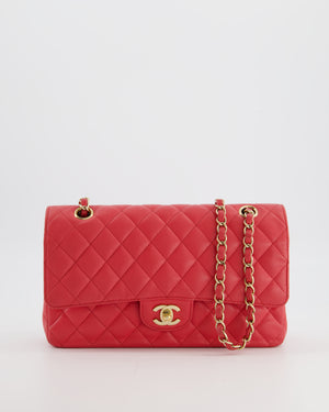 Chanel Pink Medium Classic Double Flap Bag in Caviar Leather with Champagne Gold Hardware