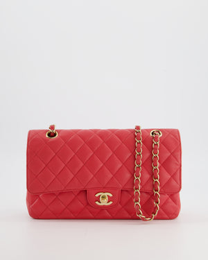 Chanel Pink Medium Classic Double Flap Bag in Caviar Leather with Champagne Gold Hardware