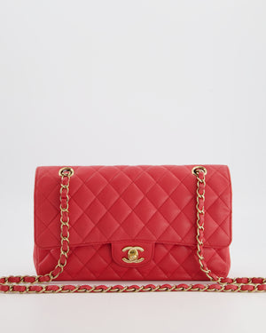 Chanel Pink Medium Classic Double Flap Bag in Caviar Leather with Champagne Gold Hardware