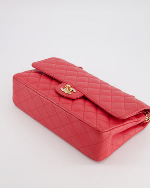 Chanel Pink Medium Classic Double Flap Bag in Caviar Leather with Champagne Gold Hardware