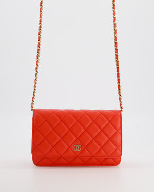 Chanel Red Wallet on Chain Bag in Caviar Leather with Champagne Gold Hardware