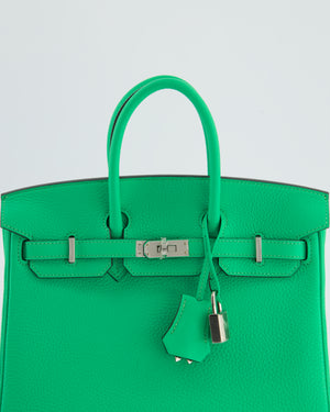 Hermès Birkin 25 Retourne Bag in Vert Comics Togo Leather with Palladium Hardware