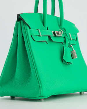 Hermès Birkin 25 Retourne Bag in Vert Comics Togo Leather with Palladium Hardware
