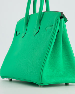 Hermès Birkin 25 Retourne Bag in Vert Comics Togo Leather with Palladium Hardware