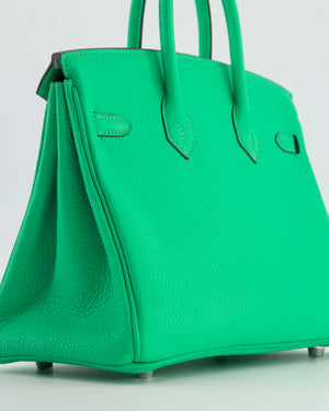Hermès Birkin 25 Retourne Bag in Vert Comics Togo Leather with Palladium Hardware