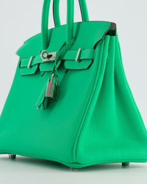 Hermès Birkin 25 Retourne Bag in Vert Comics Togo Leather with Palladium Hardware