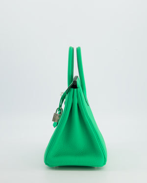 Hermès Birkin 25 Retourne Bag in Vert Comics Togo Leather with Palladium Hardware
