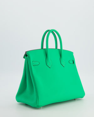 Hermès Birkin 25 Retourne Bag in Vert Comics Togo Leather with Palladium Hardware