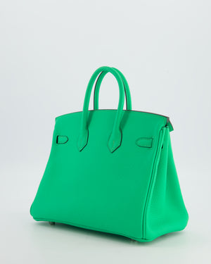 Hermès Birkin 25 Retourne Bag in Vert Comics Togo Leather with Palladium Hardware