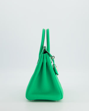 Hermès Birkin 25 Retourne Bag in Vert Comics Togo Leather with Palladium Hardware
