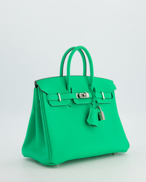 Hermès Birkin 25 Retourne Bag in Vert Comics Togo Leather with Palladium Hardware