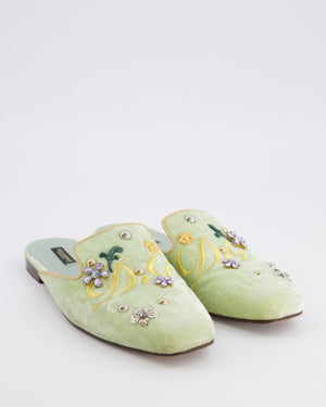 Dolce & Gabbana Pastel Green Velours Mules with Embroideries and Floral Crystal Embellishments Size EU 38.5