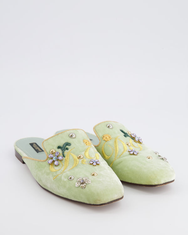 Dolce & Gabbana Pastel Green Velours Mules with Embroideries and Floral Crystal Embellishments Size EU 38.5