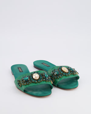Dolce & Gabbana Emerald Green Croc Leather Mules with Crystal Embellishments Size EU 38.5