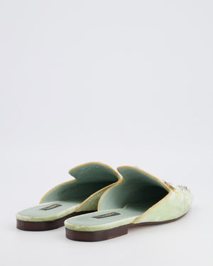 Dolce & Gabbana Pastel Green Velours Mules with Embroideries and Floral Crystal Embellishments Size EU 38.5