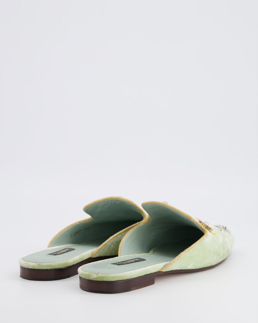 Dolce & Gabbana Pastel Green Velours Mules with Embroideries and Floral Crystal Embellishments Size EU 38.5