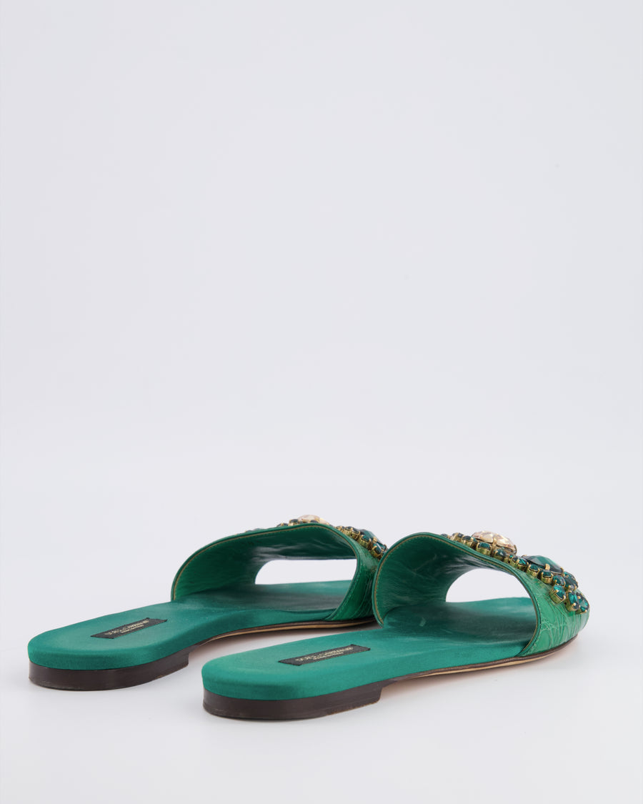 Dolce & Gabbana Emerald Green Croc Leather Mules with Crystal Embellishments Size EU 38.5