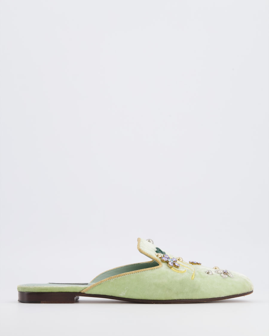 Dolce & Gabbana Pastel Green Velours Mules with Embroideries and Floral Crystal Embellishments Size EU 38.5