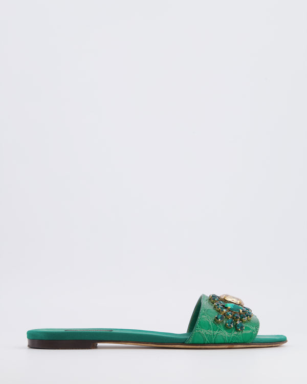 Dolce & Gabbana Emerald Green Croc Leather Mules with Crystal Embellishments Size EU 38.5